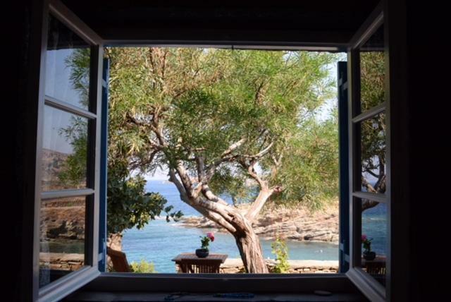 Villa Aphrodite Koundouros エクステリア 写真